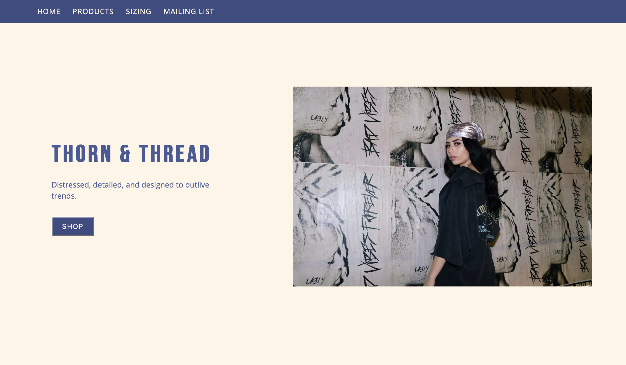 Screenshot of the tribute site project