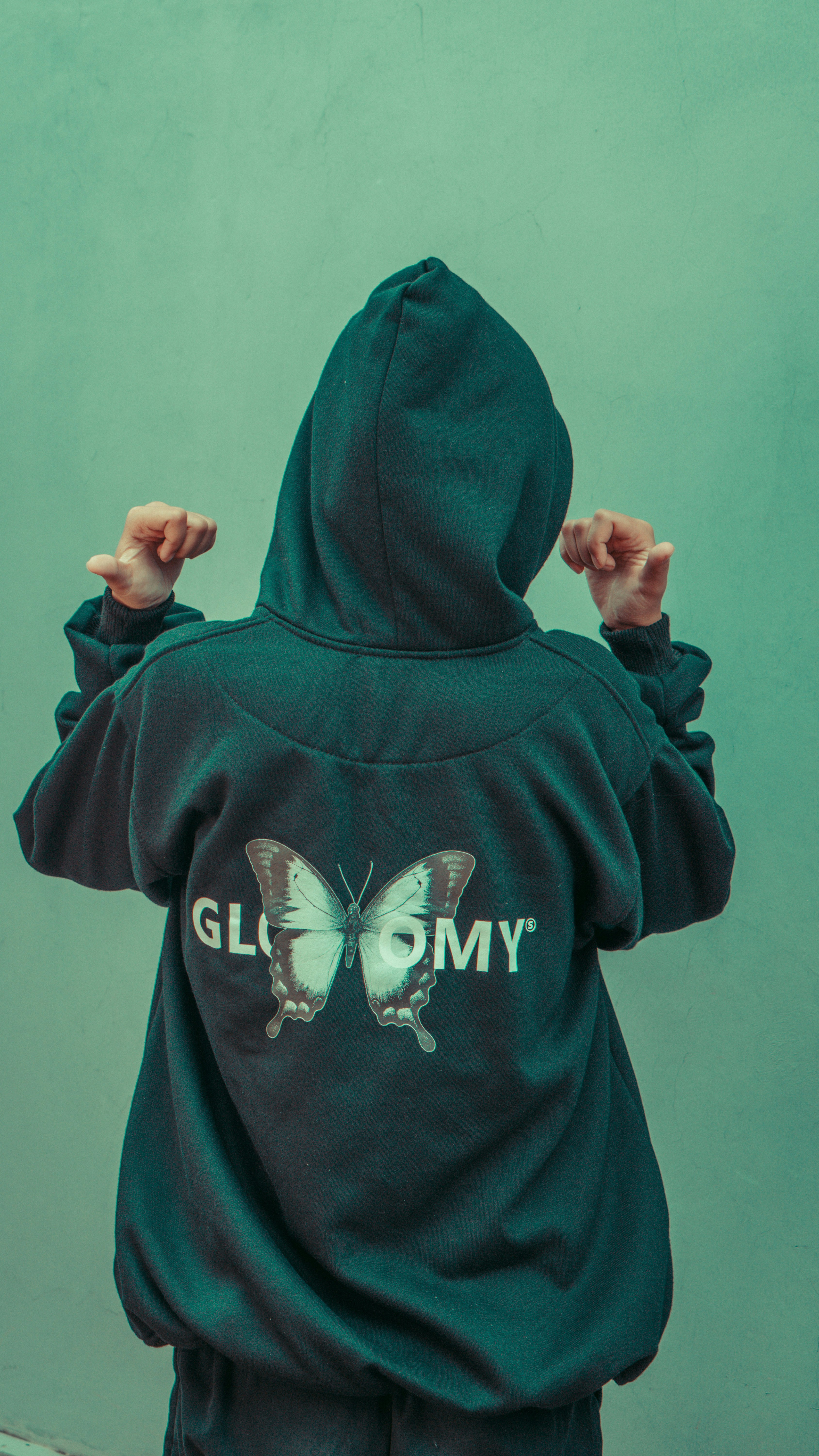 Back of moth hoodie